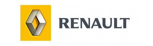 Renault R-21