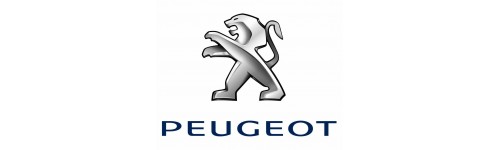 Peugeot 1007