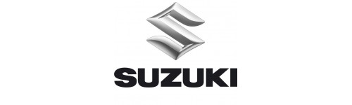 Suzuki Servo