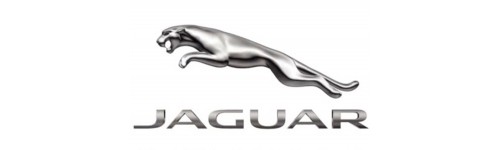 Jaguar X100